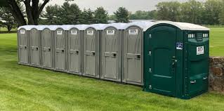 Best Portable Toilets with Baby Changing Stations  in Perry, MI