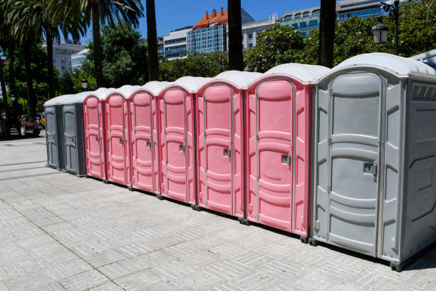 Best Portable Toilets for Parks and Recreation Areas  in Perry, MI